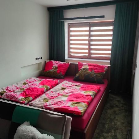 Apartman Uprostred Trojuhelniku Praha - Karlovy Vary - Plzen Kolesovice Eksteriør billede